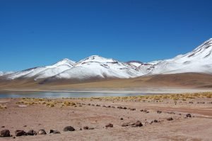 Las Lagunas Altiplánicas