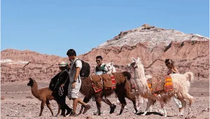 Las Caravanas Ancestrales de Coyo