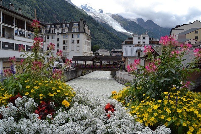 Flowers in Chamonix